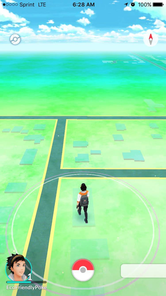 Why businesses need to focus on the AR revolution and less on just a single game.