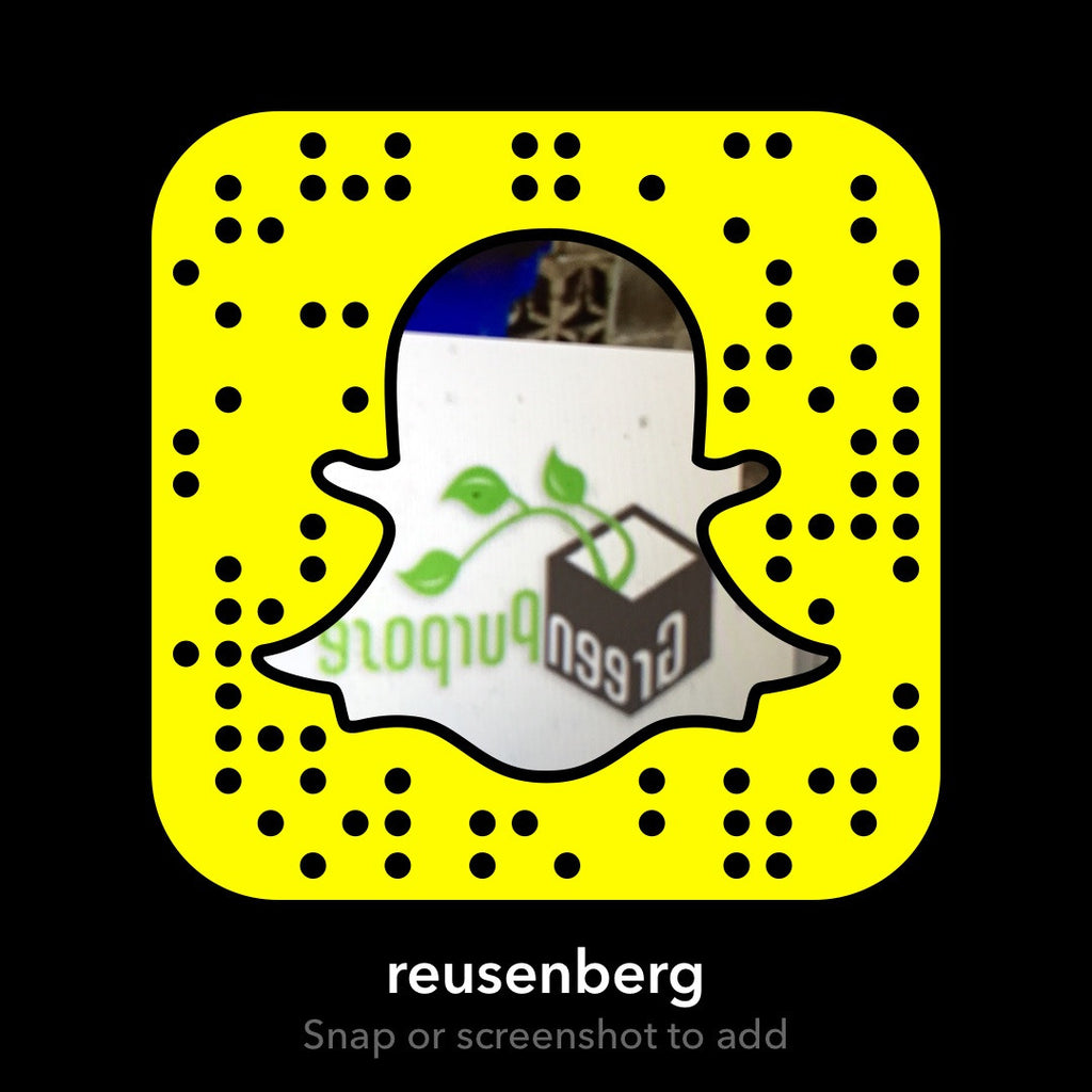 Success stories of companies that have used Snapchat or Instagram