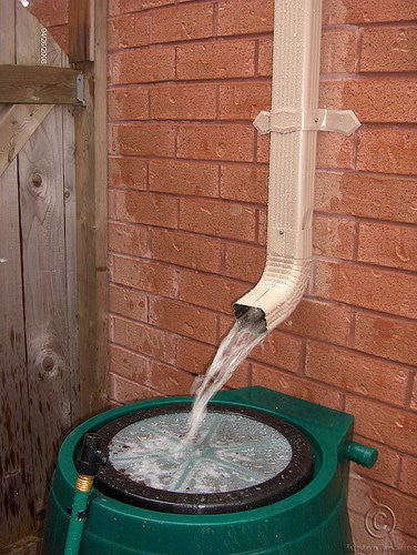 Essential cleaning for your rain barrel