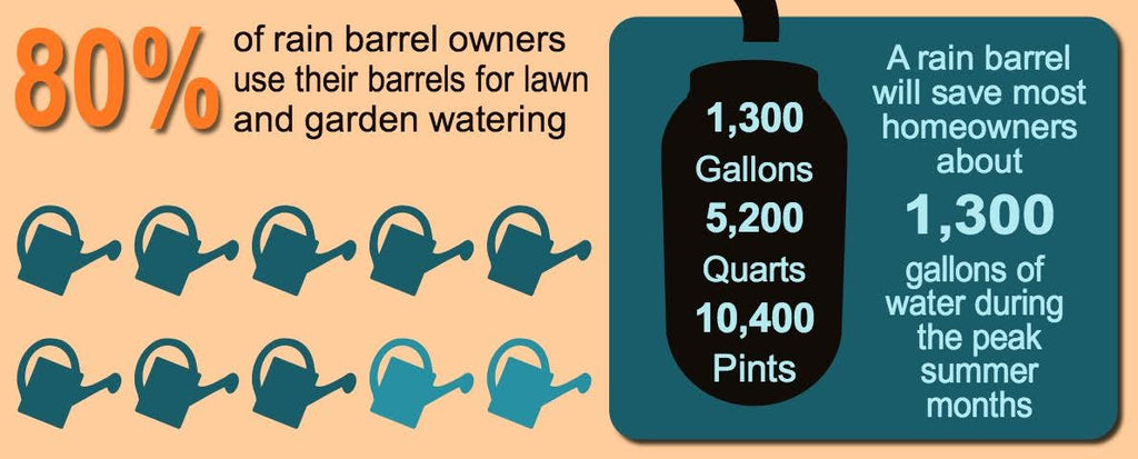EVERYTHING you need to know about Rain Barrels